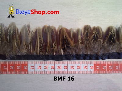 BMF 16  large2